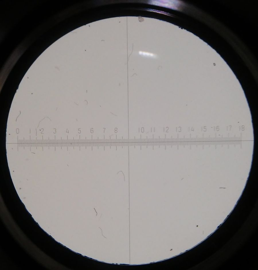 :  microscope.jpg
: 386

:  46.8 